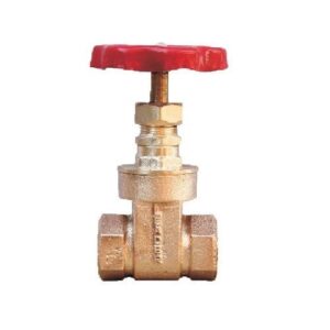 gun metal gate valve liva